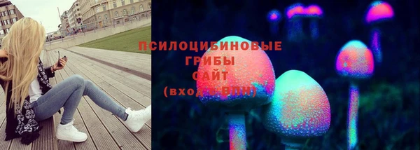 таблы Алексин