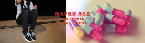 гидропоника Алзамай