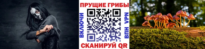 Псилоцибиновые грибы ЛСД  Нижняя Салда 